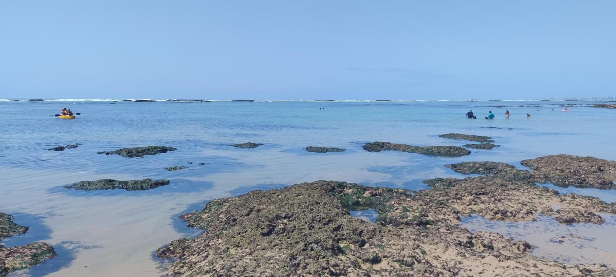 Apartamento Blue House Maceió